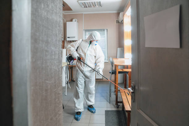 Best Forensic Mold Investigation  in North Fork, AZ
