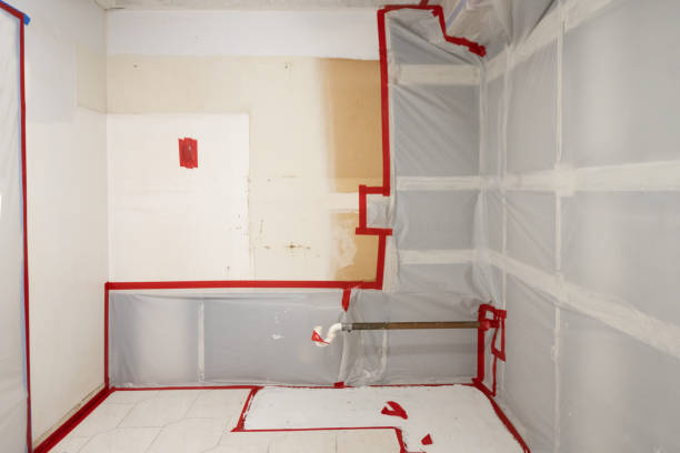 North Fork, AZ Mold Removal Pros