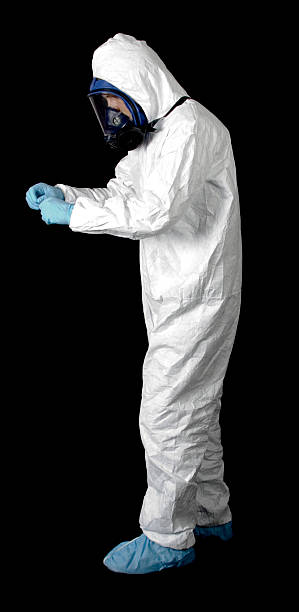 Best Water Damage & Mold Remediation  in North Fork, AZ