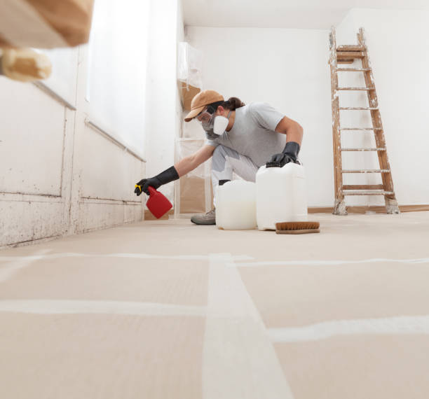 Best HVAC Mold Inspection and Cleaning  in North Fork, AZ